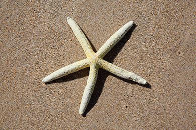 CDPR参与《赛博朋克2077》背景电影公布 早期制作阶段